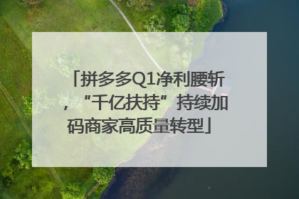 拼多多Q1净利腰斩，“千亿扶持”持续加码商家高质量转型