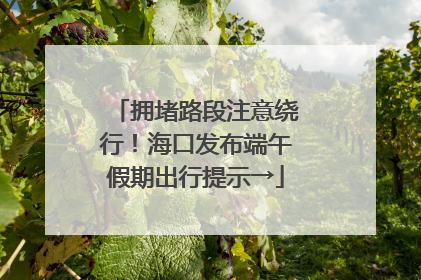 拥堵路段注意绕行！海口发布端午假期出行提示→