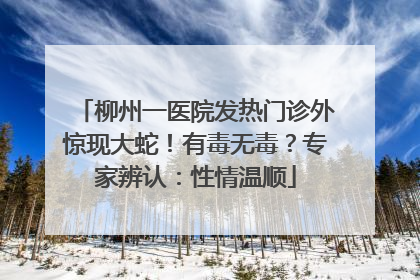 柳州一医院发热门诊外惊现大蛇！有毒无毒？专家辨认：性情温顺
