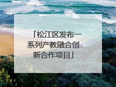 松江区发布一系列产教融合创新合作项目