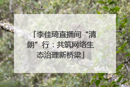 李佳琦直播间“清朗”行：共筑网络生态治理新桥梁