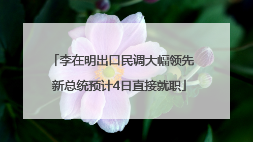 李在明出口民调大幅领先 新总统预计4日直接就职