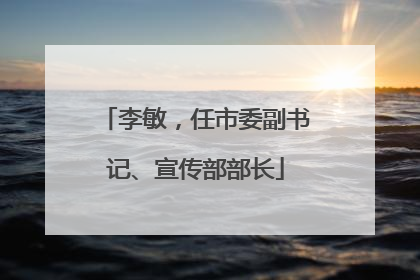 李敏，任市委副书记、宣传部部长