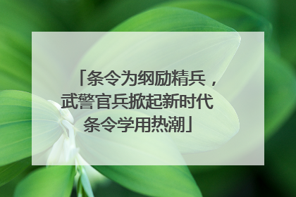 条令为纲励精兵，武警官兵掀起新时代条令学用热潮