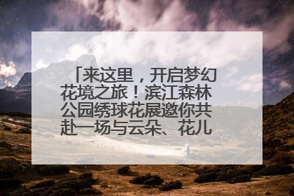 来这里，开启梦幻花境之旅！滨江森林公园绣球花展邀你共赴一场与云朵、花儿的浪漫之约