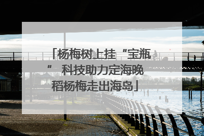 杨梅树上挂“宝瓶” 科技助力定海晚稻杨梅走出海岛