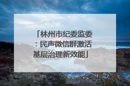 林州市纪委监委：民声微信群激活基层治理新效能