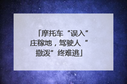 摩托车“误入”庄稼地，驾驶人“撒泼”终难逃