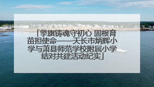 擎旗铸魂守初心 固根育苗担使命——天长市炳辉小学与萧县师范学校附属小学结对共建活动纪实