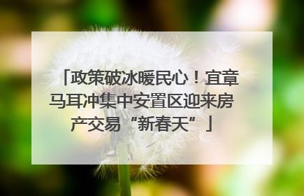 政策破冰暖民心！宜章马耳冲集中安置区迎来房产交易“新春天”