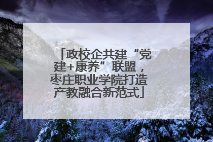 政校企共建“党建+康养”联盟，枣庄职业学院打造产教融合新范式