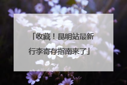 收藏！昆明站最新行李寄存指南来了