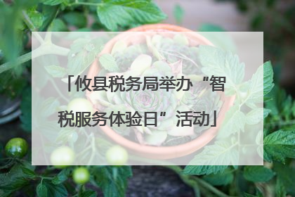 攸县税务局举办“智税服务体验日”活动