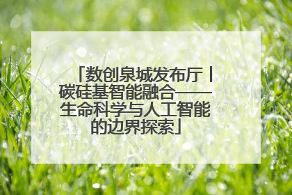 数创泉城发布厅丨碳硅基智能融合——生命科学与人工智能的边界探索