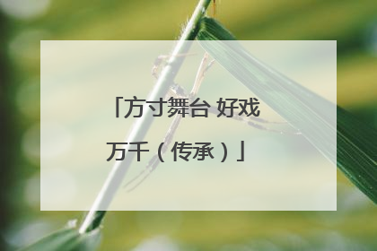 方寸舞台 好戏万千（传承）