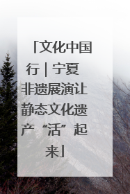 文化中国行｜宁夏 非遗展演让静态文化遗产“活”起来