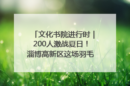 文化书院进行时｜200人激战夏日！淄博高新区这场羽毛球比赛太酷