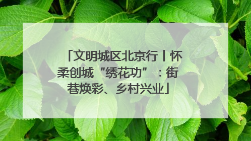 文明城区北京行丨怀柔创城“绣花功”：街巷焕彩、乡村兴业