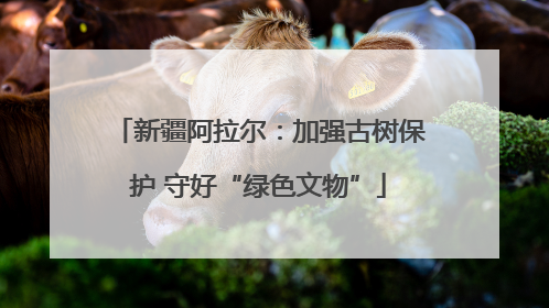 新疆阿拉尔：加强古树保护 守好“绿色文物”