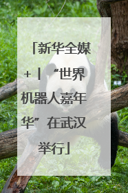 新华全媒+丨“世界机器人嘉年华”在武汉举行