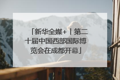 新华全媒+丨第二十届中国西部国际博览会在成都开幕