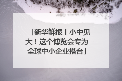 新华鲜报丨小中见大！这个博览会专为全球中小企业搭台