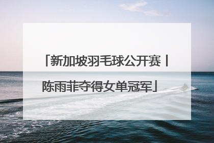 新加坡羽毛球公开赛丨陈雨菲夺得女单冠军