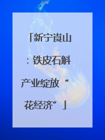 新宁崀山：铁皮石斛产业绽放“花经济”