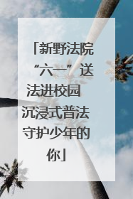 新野法院“六一”送法进校园 沉浸式普法守护少年的你