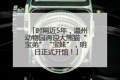 时隔近5年，温州动物园再迎大熊猫“宝弟”“宝妹”，明日正式开馆！