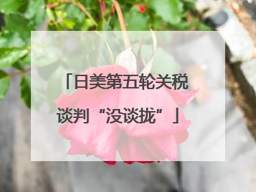 日美第五轮关税谈判“没谈拢”