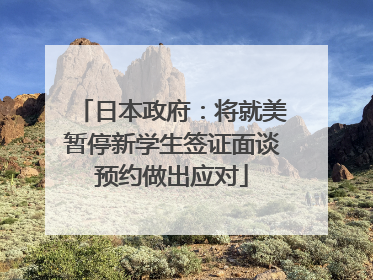 日本政府：将就美暂停新学生签证面谈预约做出应对