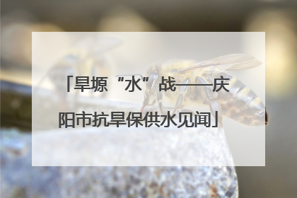 旱塬“水”战——庆阳市抗旱保供水见闻