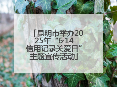 昆明市举办2025年“6·14信用记录关爱日”主题宣传活动