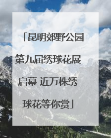 昆明郊野公园第九届绣球花展启幕 近万株绣球花等你赏