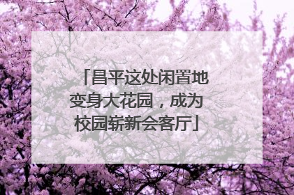 昌平这处闲置地变身大花园，成为校园崭新会客厅