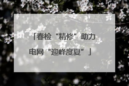春检“精修”助力电网“迎峰度夏”
