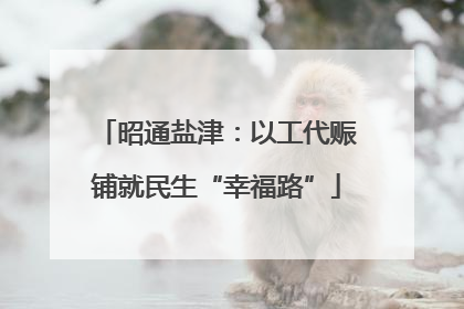 昭通盐津：以工代赈铺就民生“幸福路”