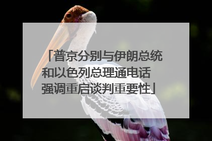 普京分别与伊朗总统和以色列总理通电话 强调重启谈判重要性