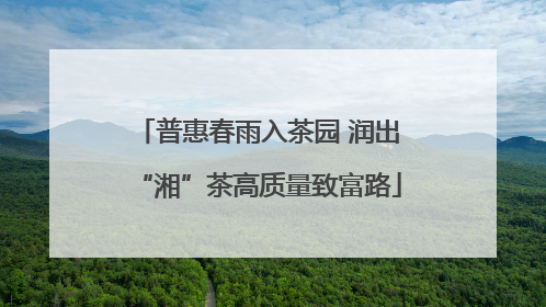 普惠春雨入茶园 润出“湘”茶高质量致富路