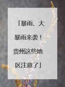 暴雨、大暴雨来袭！贵州这些地区注意了