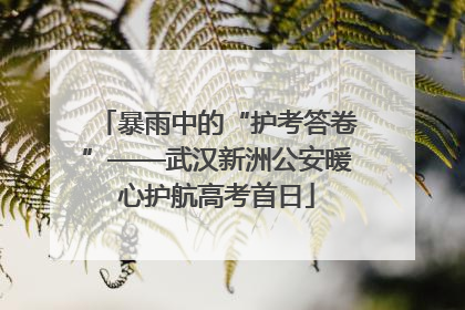 暴雨中的“护考答卷”——武汉新洲公安暖心护航高考首日