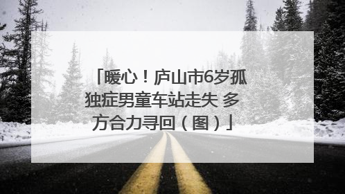 暖心！庐山市6岁孤独症男童车站走失 多方合力寻回（图）