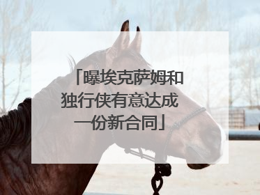 曝埃克萨姆和独行侠有意达成一份新合同