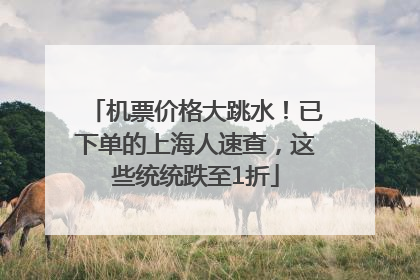 机票价格大跳水！已下单的上海人速查，这些统统跌至1折