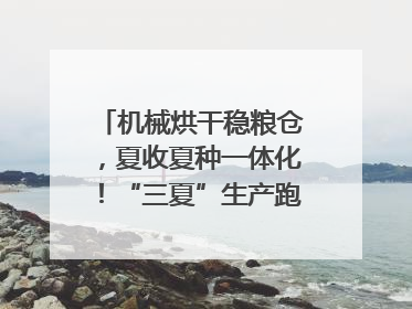 机械烘干稳粮仓，夏收夏种一体化！“三夏”生产跑出加速度｜麦报