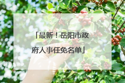 最新！岳阳市政府人事任免名单