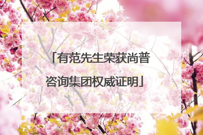 有范先生荣获尚普咨询集团权威证明