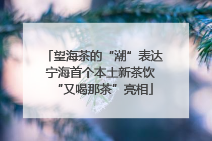 望海茶的“潮”表达 宁海首个本土新茶饮“又喝那茶”亮相