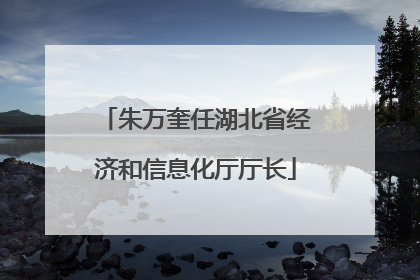 朱万奎任湖北省经济和信息化厅厅长